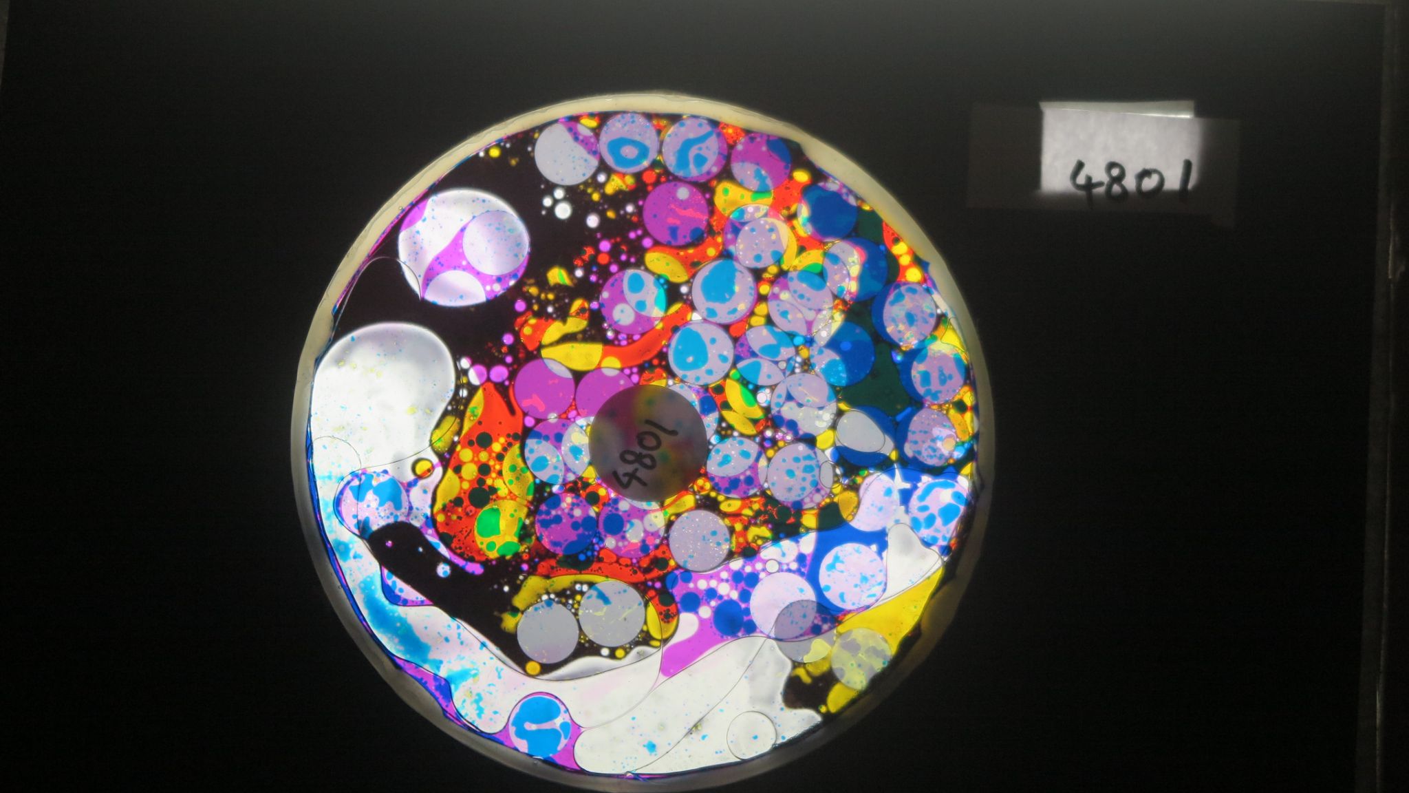 BV4801 bubble vision oil wheel